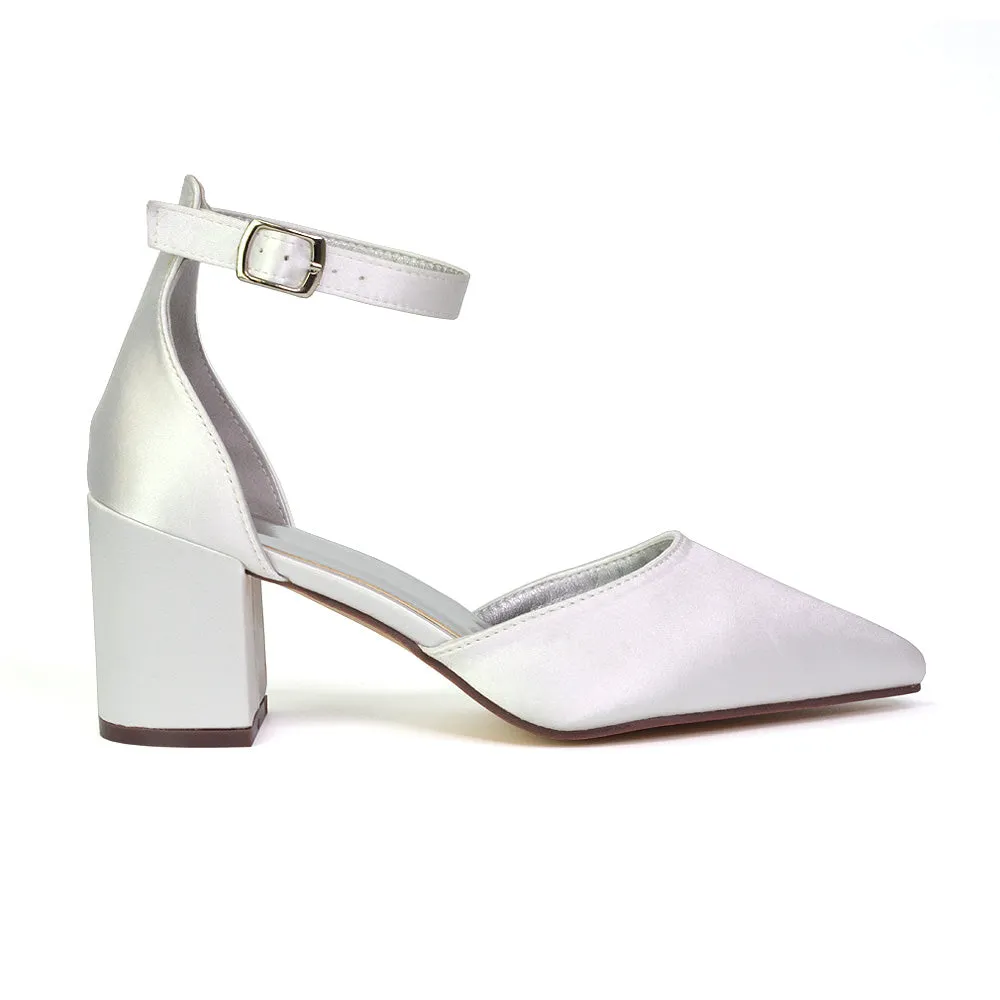 Bronte Pointed Toe Strappy Mid Block Heel Sandal Court Shoes in Silver