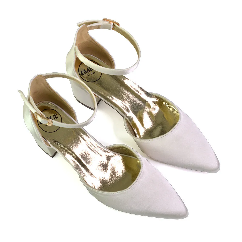 Bronte Pointed Toe Strappy Mid Block Heel Sandal Court Shoes in Silver