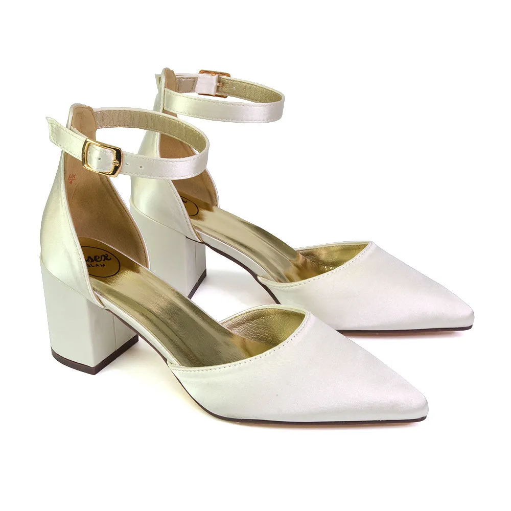 Bronte Pointed Toe Strappy Mid Block Heel Sandal Court Shoes in Silver