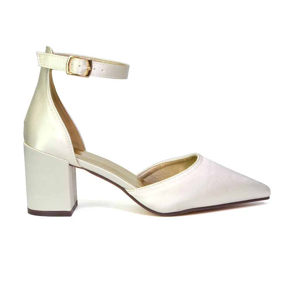 Bronte Pointed Toe Strappy Mid Block Heel Sandal Court Shoes in Silver